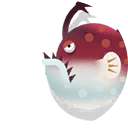 pacific footballfish