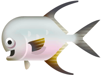 Pompano su Paradise Island