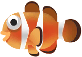 Poisson-Clown Du Pacific sur Paradise Island