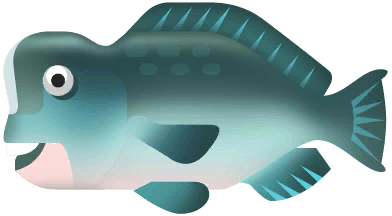 Green Humphead Parrotfish in Paradise Island