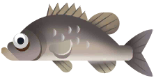Smallmouth Bass in Great Lakes
