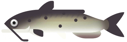 Channel Catfish in Great Lakes