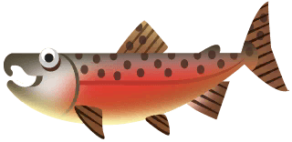 Coho Salmon in Great Lakes