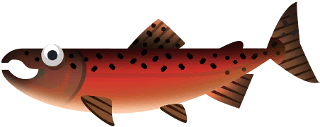 Chinook Salmon in Great Lakes