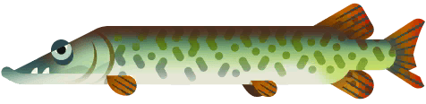 Muskie in Great Lakes