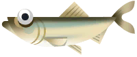 Alewife in Great Lakes