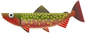 Brook Trout in Great Lakes