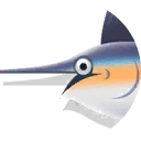 striped marlin