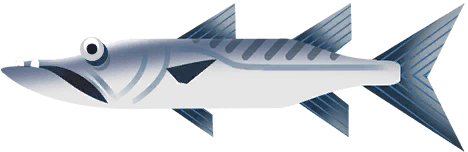 Grande Barracuda su Costa Rica