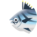 roosterfish