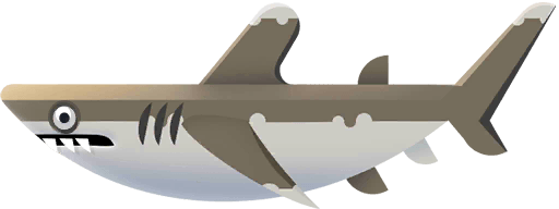 Whitetip Shark in Costa Rica