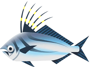 Pesce Gallo su Costa Rica