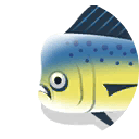 dorado