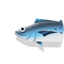 sierra mackerel
