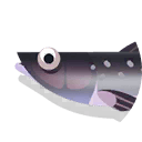 coalfish