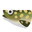 burbot