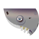 pacific sleeper shark