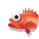 rougheye rockfish