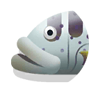 black-saddler coral grouper