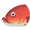 coral trout