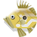 john dory