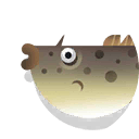 unicorn leatherjacket