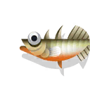 three-spined stickleback
