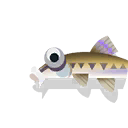gudgeon