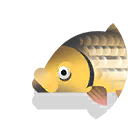 jullien's golden prize carp