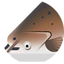 mekong giant catfish