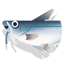 striped catfish