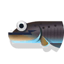 electric eel