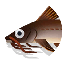 flatwhiskered catfish