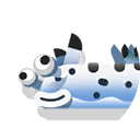 nudibranch