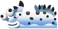 Nudibranch in Marina