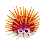 fire urchin