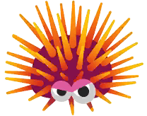 Fire Urchin in Marina