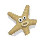 common starfish