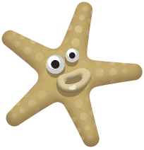 Common Starfish in Marina
