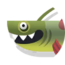Xenacanthus