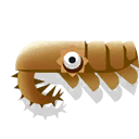 Peytoia