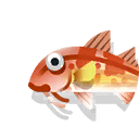 striped red mullet