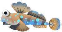 Mudskipper in Marina