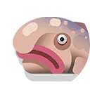 blobfish