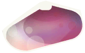 Tiny Pink Shell in Marina