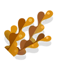 kelp leaf