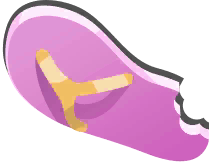 Flip Flops in Paradise Island