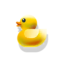 rubber duck