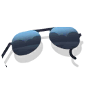 cobra sunglass