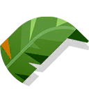 palm leaf